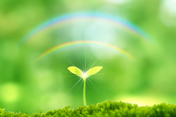 インナーチャイルドリーディング